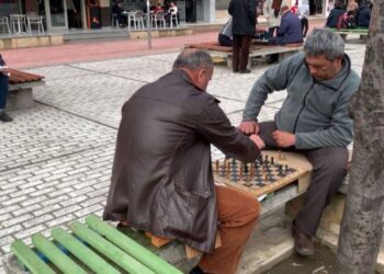 Sfidat e të moshuarve në Shqipëri, 10,8% e tyre jetojnë vetëm