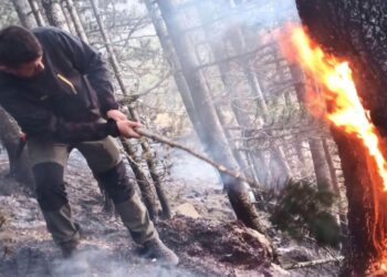 Pyjet e Lybeniqit kaplohen nga zjarret, Musliu-Shoshi bën thirrje për shuarjen e tyre