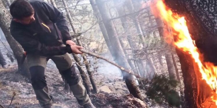 Pyjet e Lybeniqit kaplohen nga zjarret, Musliu-Shoshi bën thirrje për shuarjen e tyre