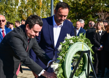 Kurti: Zhitia e Fazliu veprimtarët më të denjë të vendit tonë