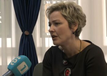 Sinani: Vetëm neve na mohohet të festojmë lirshëm 28 Nëntorin