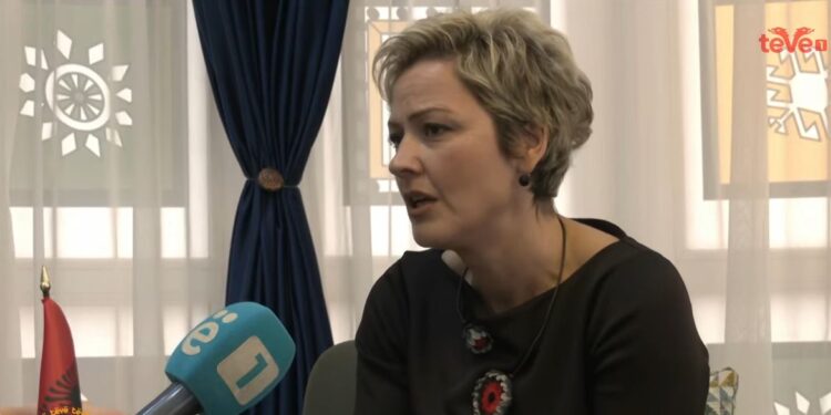 Sinani: Vetëm neve na mohohet të festojmë lirshëm 28 Nëntorin