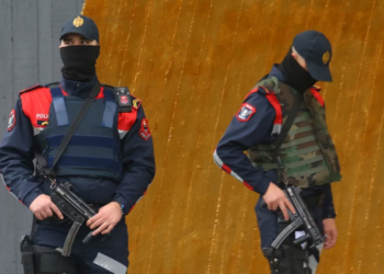 Shqipëria godet rrjetin e trafikimit që fshihte kokainën në lëkurë bagëtish