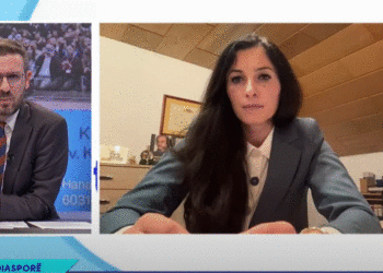 Musliu: LDK do t’i ketë 5 kandidatë nga mërgata në listë