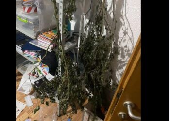 Policia sekuestron rreth 100 kg drogë dhe arreston dy persona