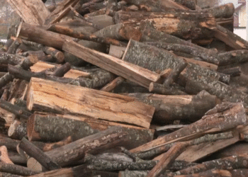 Nëntori gjen pa dru shkollat në Podujevë, Komuna ende pa operatorë për furnizim