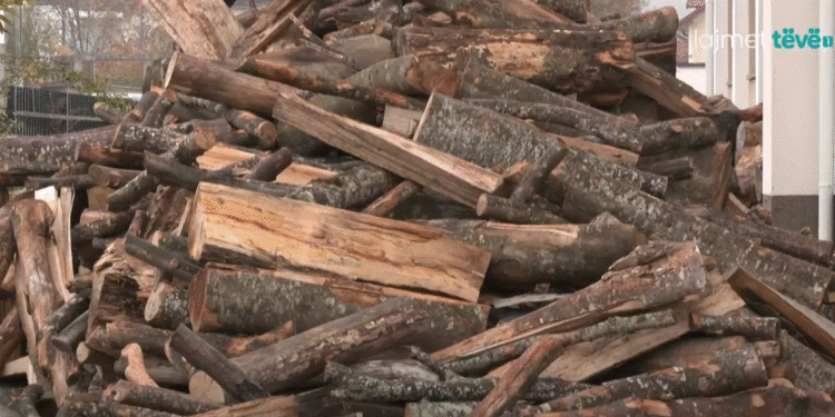 Nëntori gjen pa dru shkollat në Podujevë, Komuna ende pa operatorë për furnizim