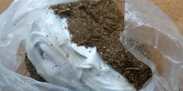 Parandalohet futja e drogës në Qendrën Korrektuese të Dubravës