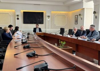 LVV i kundërpërgjigjet kërkesës së BE-së për dërgimin e draft-statutit të Asociacionit në Kushtetuese