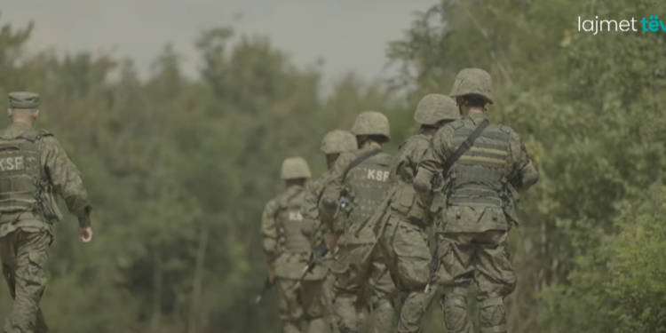 Kërkohet angazhim më i madh politik për t’u bërë pjesë e NATO-s