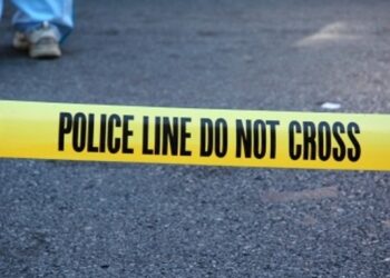 Si u plagos 7 – vjeçari me armë nga vëllai i tij, detaje