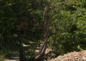 Serbisë i kërkohet mbyllja e rrugëve ilegale