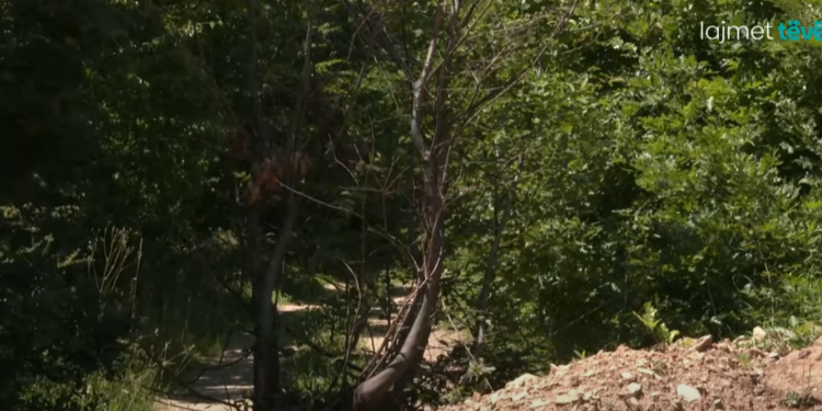 Serbisë i kërkohet mbyllja e rrugëve ilegale