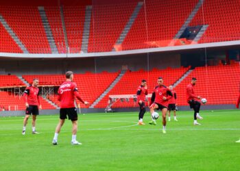 Asllani i gatshëm, Muçi në dyshim për Çekinë