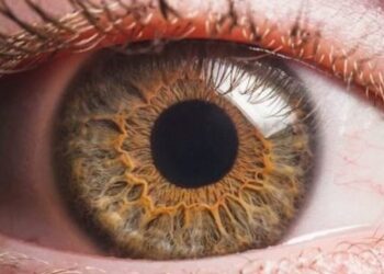 Faktorët e rrezikut për shëndetin e syve