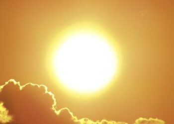 Shkencëtarët thonë se 2024 do të jetë viti më i nxehtë i regjistruar ndonjëherë