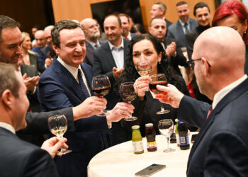 Kurti – Hovenierit: Kosova do jetë gjithmonë shtëpia juaj, ne do të jemi këtu