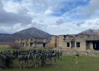 Kosova dhe Shqipëria synojnë fuzionim të kapaciteteve e blerje të përbashkët të armatimit