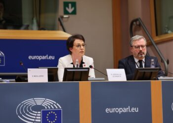 Gërvalla në Parlamentin Evropian: Serbia po kopjon strategjitë ruse