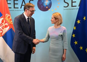 Vuçiq thotë se shefja e BE-së i kërkoi zgjidhjen e rastit Banjska