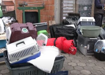 Dhurohen donacione për aktivistë të kafshëve