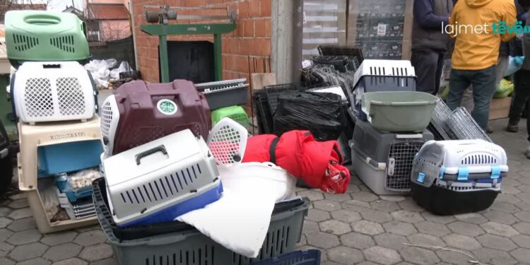 Dhurohen donacione për aktivistë të kafshëve