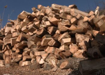 Kush është shkaku i uljes së çmimit të druve?