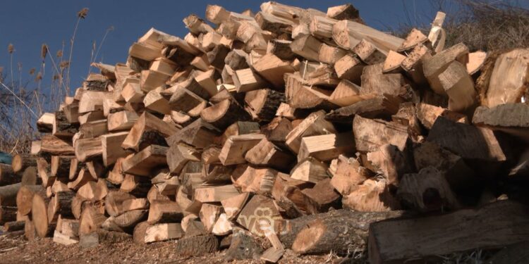 Kush është shkaku i uljes së çmimit të druve?