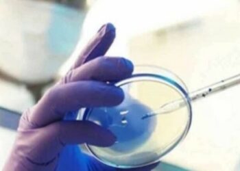 Dita ndërkombëtare e gatishmërisë epidemike