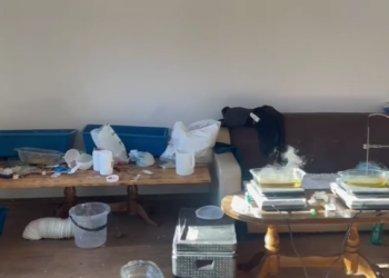 Antidroga në Ferizaj gjen drogë duke u përpunuar në një laborator, arrestohen dy shtetas të huaj dhe një kosovar