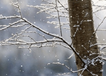 E hëna me mot të ftohët, temperaturat pësojnë ulje