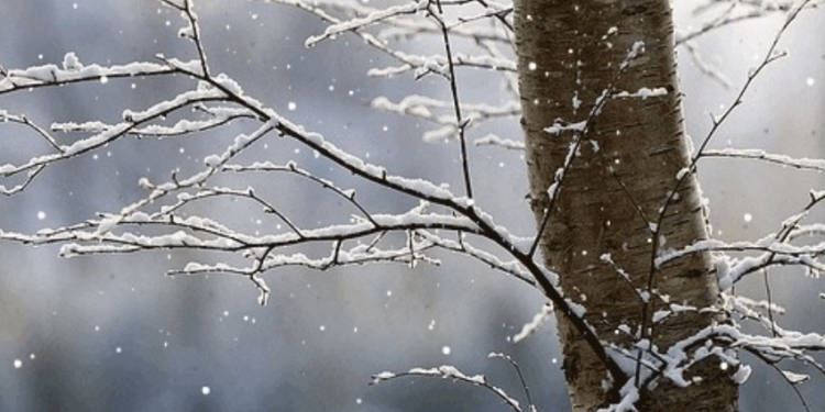 E hëna me mot të ftohët, temperaturat pësojnë ulje