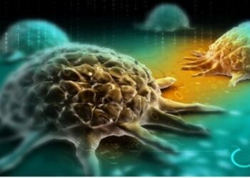 Studimi: Ky karbohidrat ushqen qelizat e kancerit