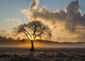 Parashikimi i motit për të martën