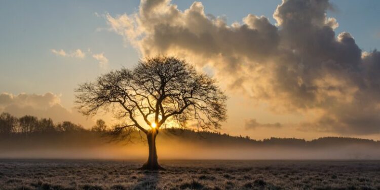 Parashikimi i motit për të martën