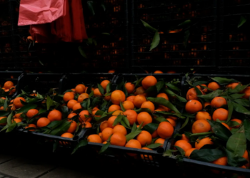 Mandarinat me pesticide, reagon Ministria e Bujqësisë në Shqipëri