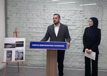 PDK: Rama po synon ta falimentojë kompaninë “Pastrimi”