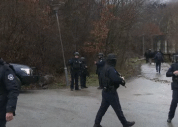 Puna e Policisë së Kosovës në vitin 2024