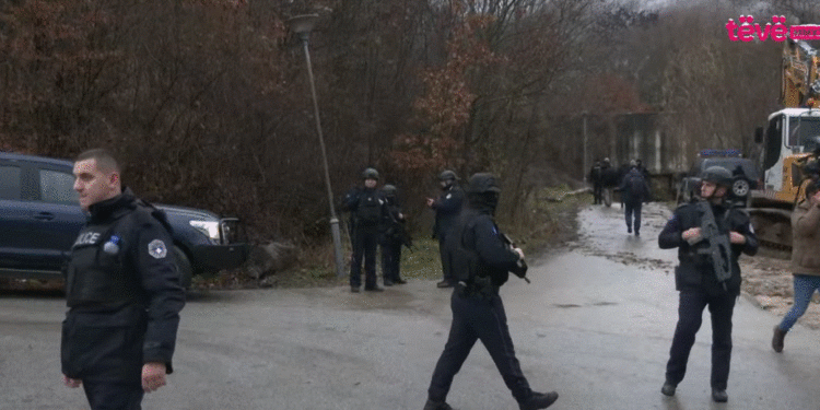 Puna e Policisë së Kosovës në vitin 2024