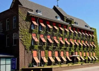 Specialja deklarohet për arrestimet e fundit