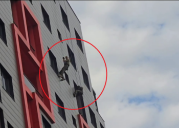 Aksioni i RENEA-s për shpëtimin e vajzës në Astir, policia del me informacion zyrtar