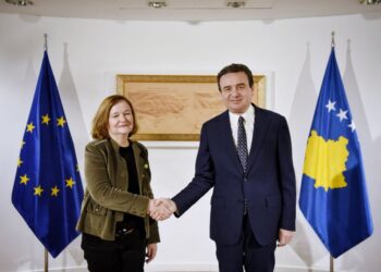 Kurti takon ekipe të misioneve vëzhguese të zgjedhjeve nga BE dhe Asambleja Parlamentare e KiE-së
