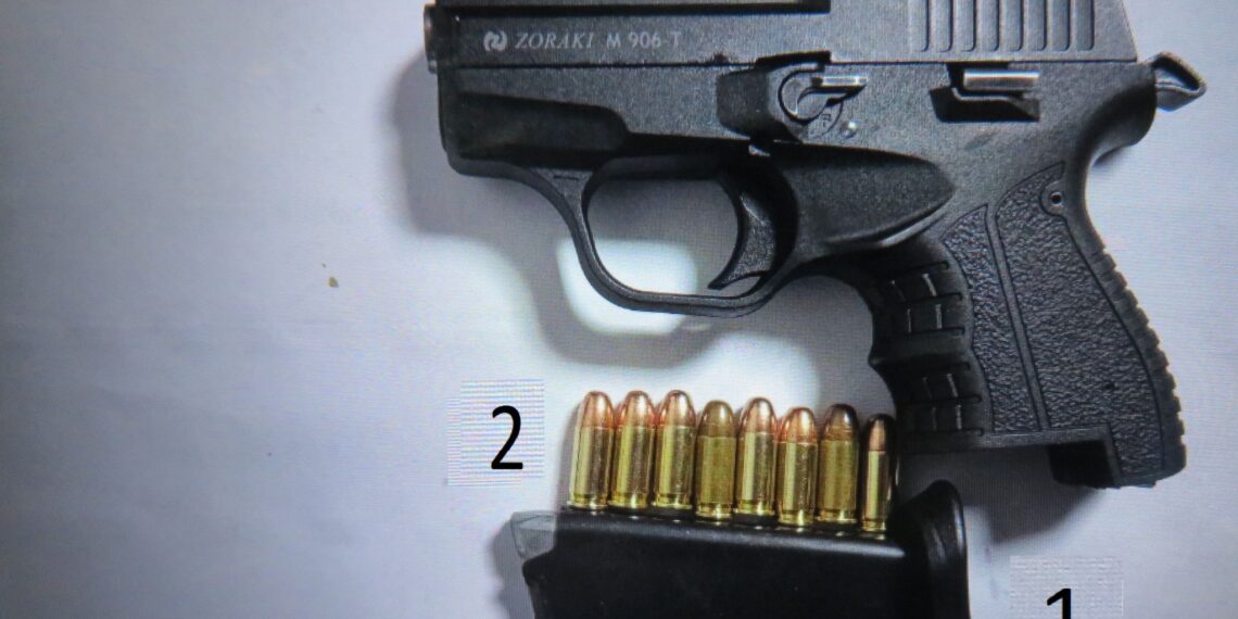 Policia arreston një person për armëmbajtje pa leje