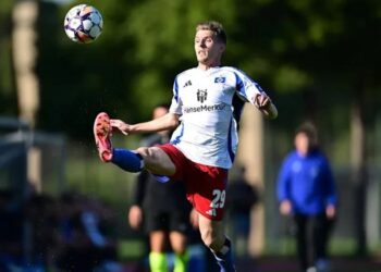 Lëvdata nga trajneri i Hamburgut: Përkushtimi maksimal, arma e fortë e Sahitit