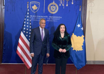 ​Zëvendës-sekretari amerikan takohet me Osmanin