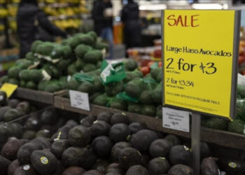 Inflacioni global pritet të qëndrojë i lartë deri në vitin 2028