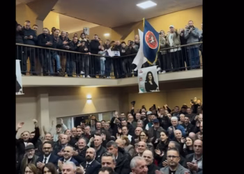 LDK: Në çdo takim e tubim gjithandej, po e shohim se jemi ngritur