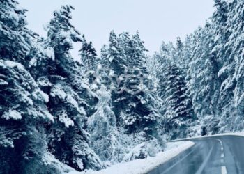 Ngrica në mëngjes, reshje bore gjatë ditës