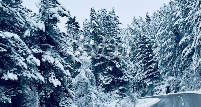 Ngrica në mëngjes, reshje bore gjatë ditës