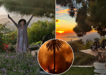 Zjarri në Los Anxhelos – Shumë yje të Hollivudit humbin shtëpitë nga flakët